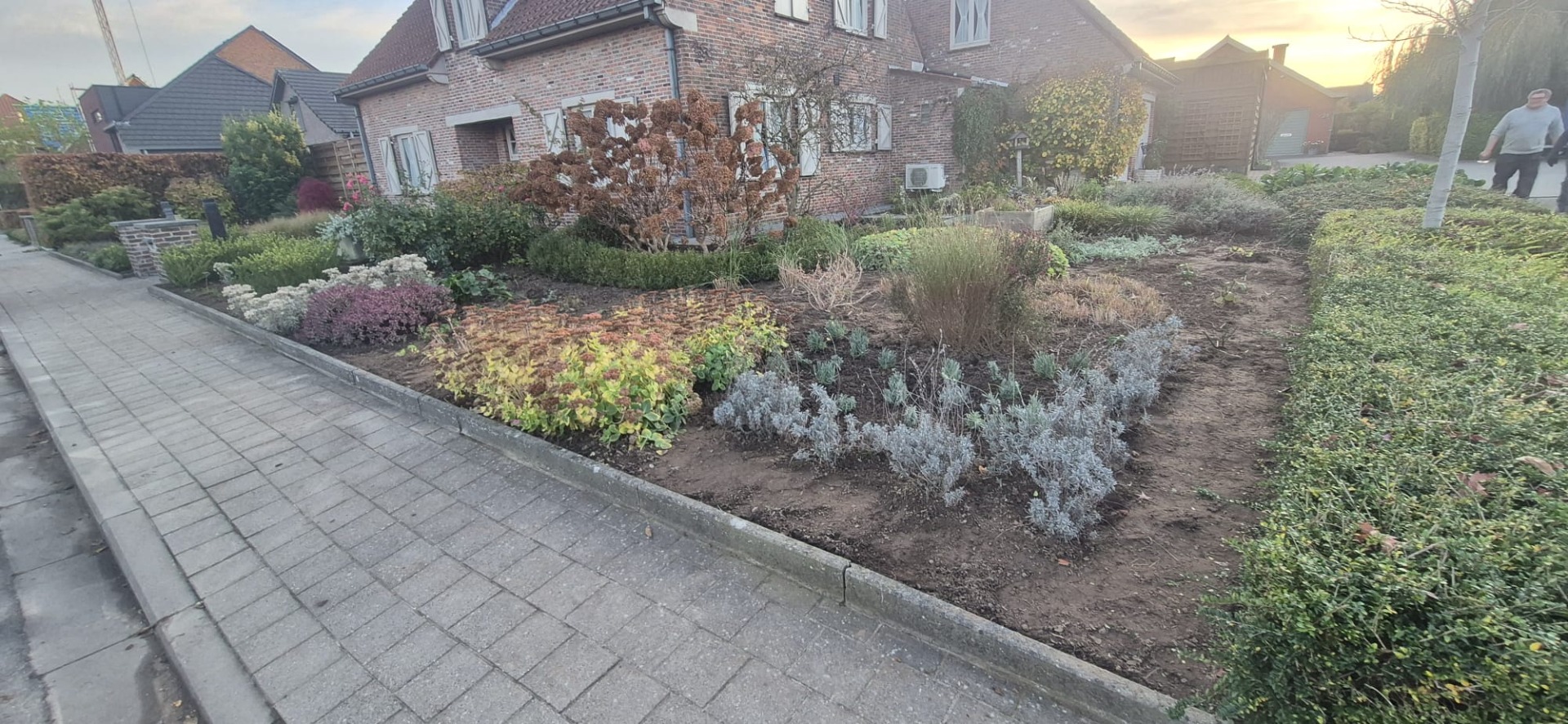 renoveren van voortuin